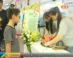 “石头缝里长的西瓜”:宁夏中卫硒砂瓜来到南宁 “石头缝里长的西瓜”:宁夏中卫硒砂瓜来到南宁