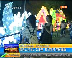 青秀山灯展人头攒动 市民赏灯其乐融融 青秀山灯展人头攒动 市民赏灯其乐融融