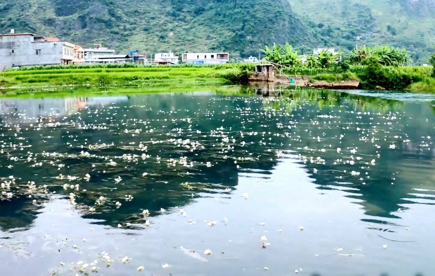 大石山乡的水韵