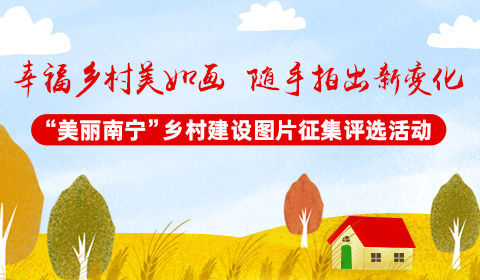 快参与！拍照片有机会领钱！