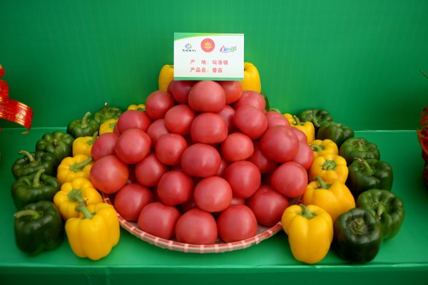 中國農民豐收節“美麗南方-豐收盛典”