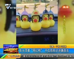 車頭頂著“網紅鴨” 不僅危險還涉嫌違法 車頭頂著“網紅鴨” 不僅危險還涉嫌違法