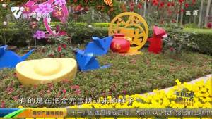 金花茶公园:万株茶花惊艳展出 公园喜庆年味浓 金花茶公园:万株茶花惊艳展出 公园喜庆年味浓