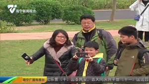 南宁园博园10万盆鲜花迎新春 新春庙会年味十足 南宁园博园10万盆鲜花迎新春 新春庙会年味十足