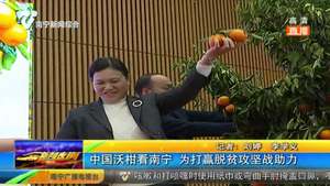 中国沃柑看南宁 为打赢脱贫攻坚战助力 中国沃柑看南宁 为打赢脱贫攻坚战助力