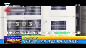 夜班新觀點:對面鄰居貼“SOS”求救? 結果太出乎意料 夜班新觀點:對面鄰居貼“SOS”求救? 結果太出乎意料