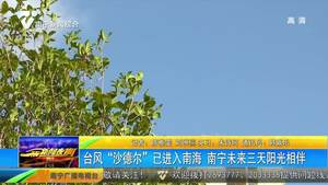 台风“沙德尔” 已进入南海 南宁未来三天阳光相伴 台风“沙德尔” 已进入南海 南宁未来三天阳光相伴