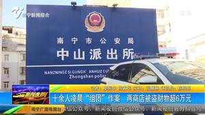十余人凌晨“组团”作案 两商店被盗财物超6万元 十余人凌晨“组团”作案 两商店被盗财物超6万元