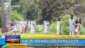 冬游广西 全区4A级以上景区将免费或五折开放 冬游广西 全区4A级以上景区将免费或五折开放