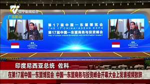 印度尼西亞總統佐科在第17屆中國—東盟博覽會暨中國—東盟商務與投資峰會開幕式致辭