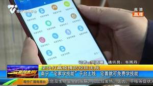 南宁“宅家学技能”平台上线 宅着就可免费学技能 南宁“宅家学技能”平台上线 宅着就可免费学技能