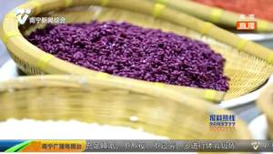五色糯米饭飘香时 与您共庆“三月三” 五色糯米饭飘香时 与您共庆“三月三”