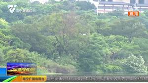 广西拟立法禁食野生动物 最高罚5万元 广西拟立法禁食野生动物 最高罚5万元