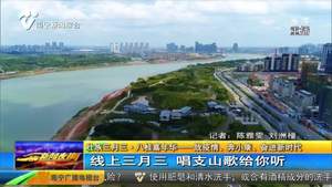 线上三月三 唱支山歌给你听 线上三月三 唱支山歌给你听