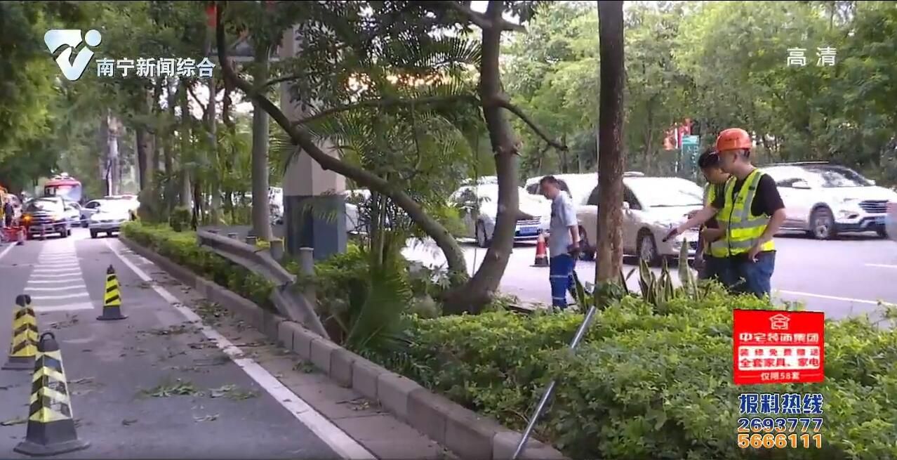 白沙大道:绿化带突现大坑 正在紧急处理 白沙大道:绿化带突现大坑 正在紧急处理