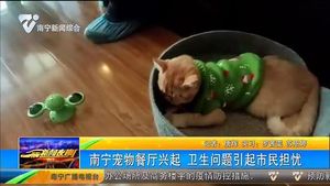 南宁宠物主题餐厅兴起 卫生问题引起市民担忧 南宁宠物主题餐厅兴起 卫生问题引起市民担忧