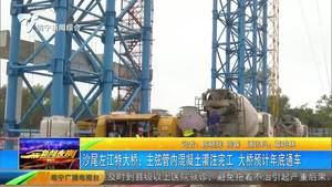 沙尾左江特大桥:主弦管内混凝土灌注完工 大桥预计年底通车 沙尾左江特大桥:主弦管内混凝土灌注完工 大桥预计年底通车