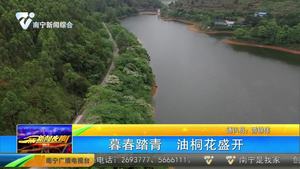 暮春踏青 油桐花盛开 暮春踏青 油桐花盛开