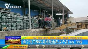南宁海关缉私局销毁走私农产品168.26吨 南宁海关缉私局销毁走私农产品168.26吨