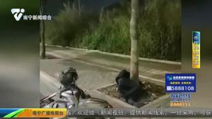 男子醉酒路边抱树睡 民警出手相救暖人心 男子醉酒路边抱树睡 民警出手相救暖人心