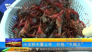 小龍蝦大量上市 價格“平靚正” 小龍蝦大量上市 價格“平靚正”