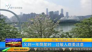 又到一年飘絮时 过敏人群要注意 又到一年飘絮时 过敏人群要注意