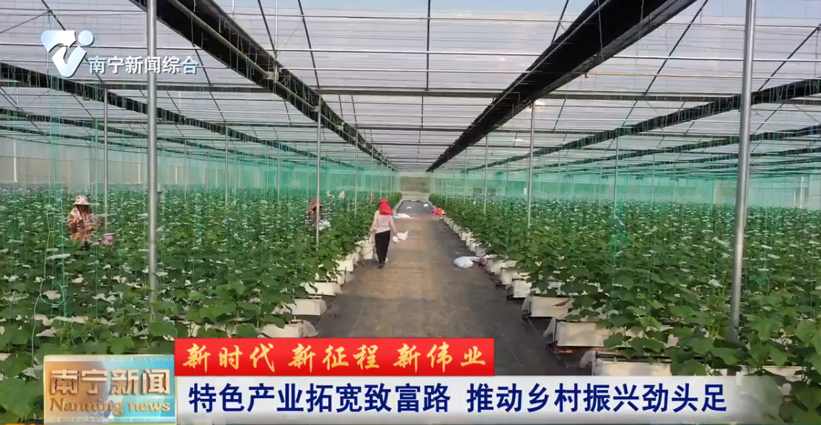 特色产业拓宽致富路  推动乡村振兴劲头足