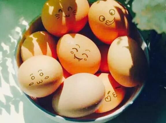 吃蛋