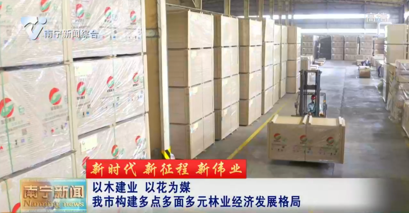 【新時代 新征程 新偉業】以木建業 以花為媒  我市構建多點多面多元林業經濟發展格局