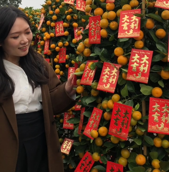  中国人过年为什么要买金桔树？