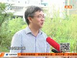 南宁市道德模范徐华典型系列报道（五） 星期五爸爸