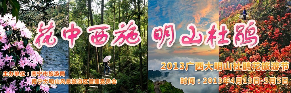 2013广西大明山杜鹃花旅游节