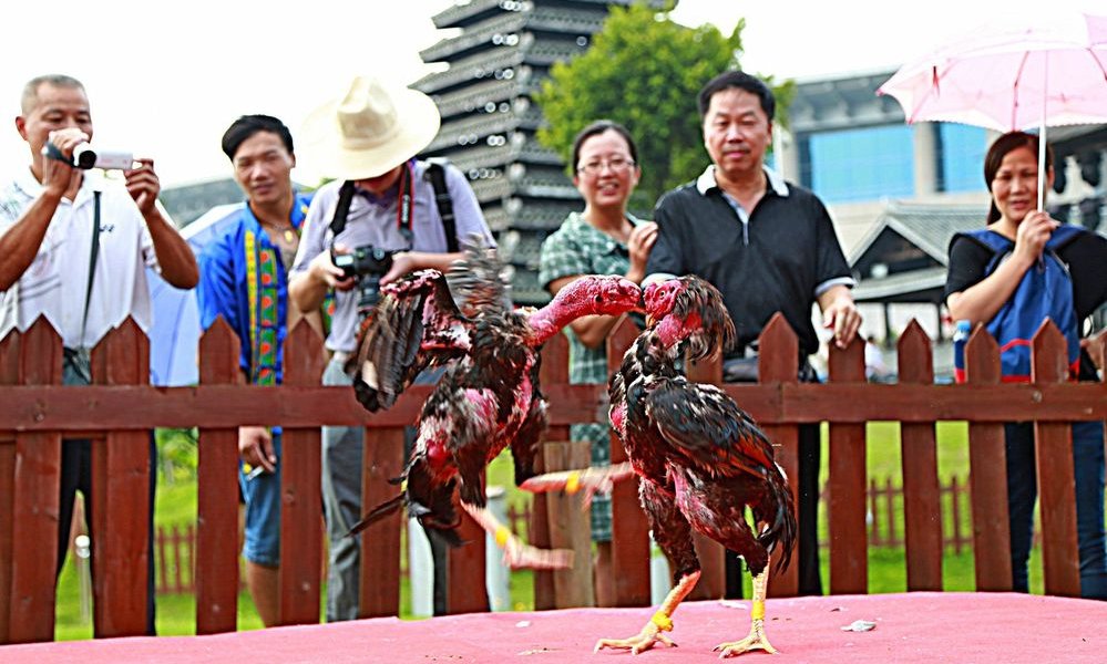 国庆长假青秀刮起一股民族风