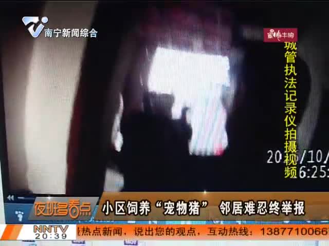 夜班多看点 2015-10-24