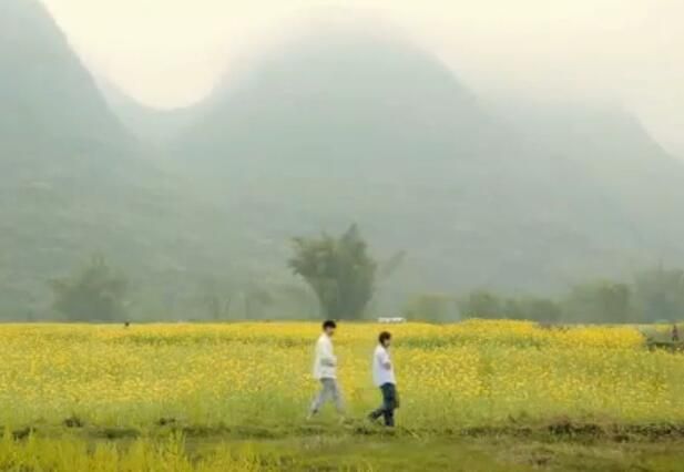 美麗西街的愛情故事