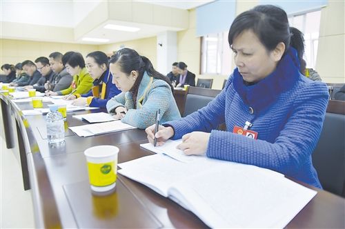 南寧市領導分別參加代表團分組審議