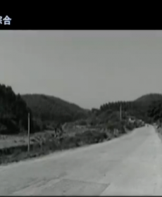 廣西抗戰(zhàn)之血染邕賓路