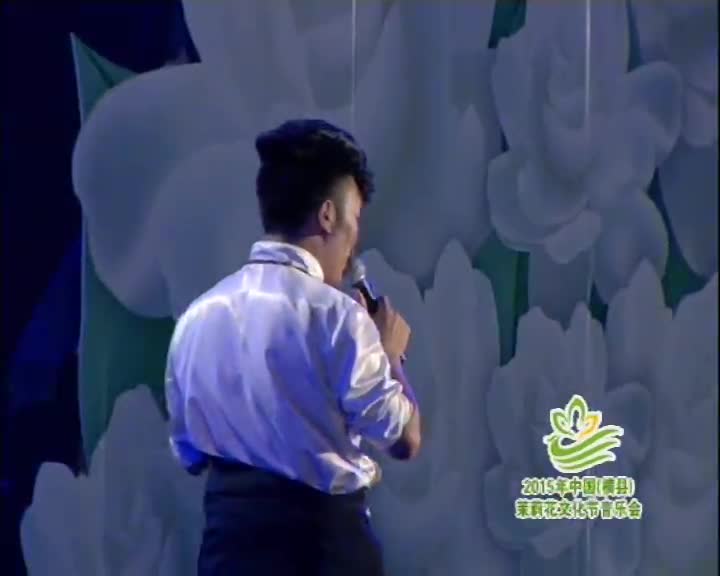 2015中国(横县)茉莉花文化节音乐会