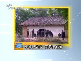 夜班多看点 2016-1-20