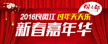 2016良凤江过年天天乐新春嘉年华