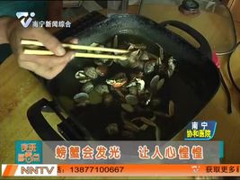 大连：螃蟹会发光 让人心惶惶