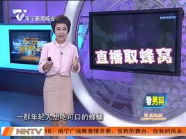 网上直播取蜂窝  结果受伤进医院