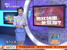 稀罕！西红柿“肚”里长“豆芽”