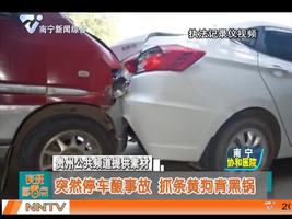 突然停车酿事故 抓条黄狗背黑锅