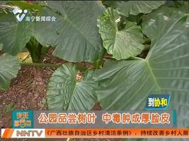 公园品尝树叶 中毒肿成厚脸皮