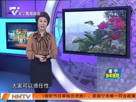 网传“穿衣法则”是否靠谱