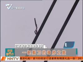 一把剪刀的奇妙之旅