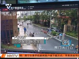 野猪闯进小区 上演“人猪追逐战”