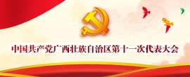 中国共产党广西壮族自治区第十一次代表大会
