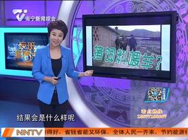 用猪饲料喂羊？结果会是怎样？